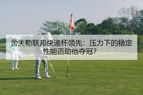 she-fu-lei-lian-bang-kuai-di-bei-ling-xian-ya-li-xia-de-wen-ding-xing-neng-fou-zhu-ta-duo-guan-2-658.jpg