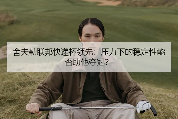 she-fu-lei-lian-bang-kuai-di-bei-ling-xian-ya-li-xia-de-wen-ding-xing-neng-fou-zhu-ta-duo-guan-3-811.jpg