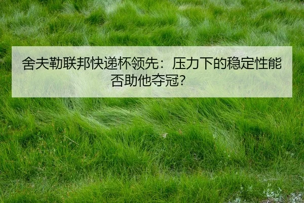 舍夫勒联邦快递杯领先：压力下的稳定性能否助他夺冠？